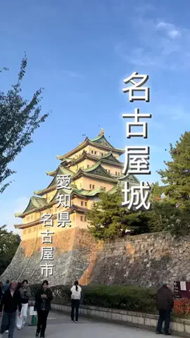 週末のたたたつや♤ΩのTikTok投稿