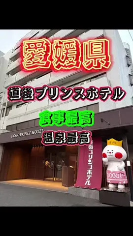 ☆PAL1718彡のTikTok投稿