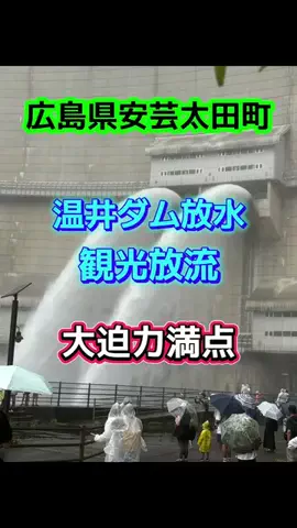 ☆PAL1718彡のTikTok投稿