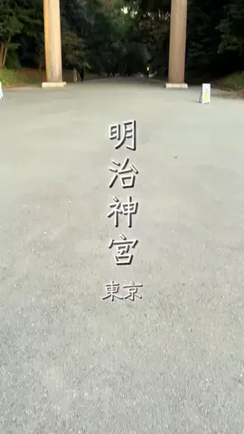 週末のたたたつや♤ΩのTikTok投稿