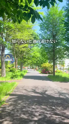 まい| 立川・多摩カフェ＆グルメのTikTok投稿