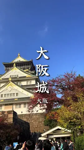 週末のたたたつや♤ΩのTikTok投稿