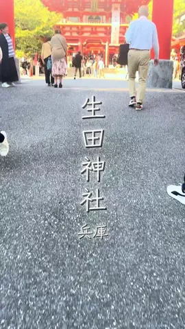 週末のたたたつや♤ΩのTikTok投稿