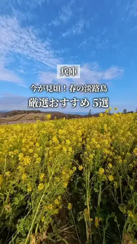 ここっと兵庫 |兵庫おでかけ・穴場グルメのTikTok投稿