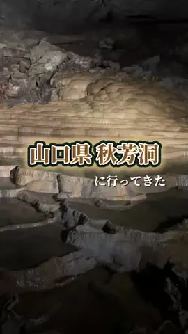 さき^._.^♡のTikTok投稿