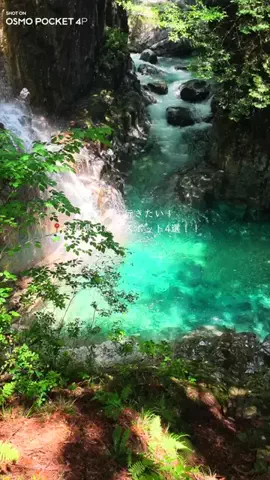 Maru【全国旅する愛知県民】のTikTok投稿