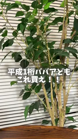 スキンケアオタクのTikTok投稿