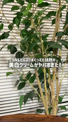 スキンケアオタクのTikTok PR投稿：バズってた理由、使ってみて分かった👀 肌が暗く見えに…