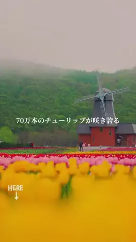 ホテル支配人の極上バイブルのTikTok投稿