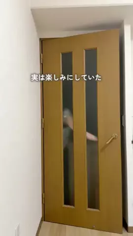 user78296132195941のTikTok投稿