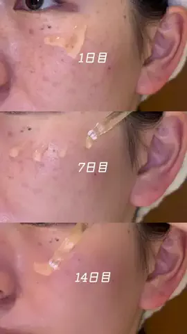真っ白ちゃんのTikTok投稿