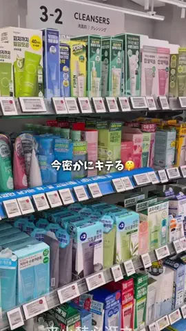 真っ白ちゃんのTikTok投稿