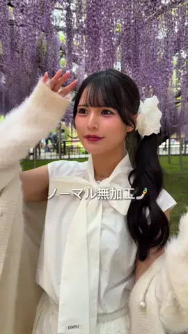 桜井ひかるのTikTok投稿