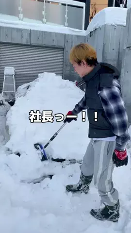 Ricky Shacho(借金40億円の冬ランボ乗り)のTikTok投稿