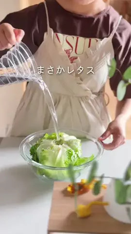 きわめしのTikTok投稿