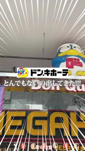 ぽむちゃんのTikTok投稿