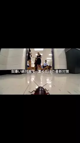 ホテル支配人の極上バイブルのTikTok投稿