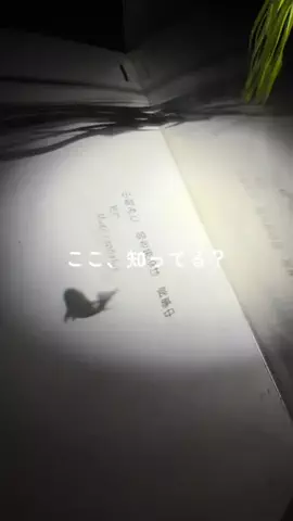 ちぃちゃんのTikTok投稿