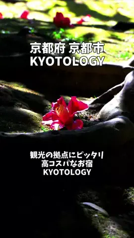 ポロ_身近なお出かけスポット紹介のTikTok投稿