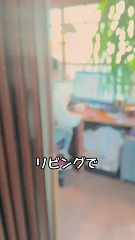 yu0709_smartlifeのTikTok投稿