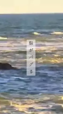 ちゃんたま/プチ贅沢ホテル旅✈️のTikTok投稿