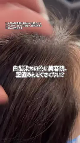 ぽむのTikTok投稿