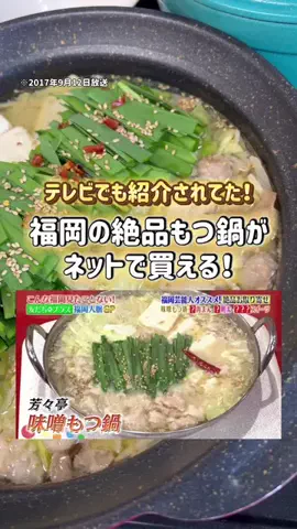 ぽむのTikTok投稿