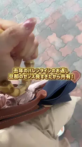 ぽむのTikTok投稿