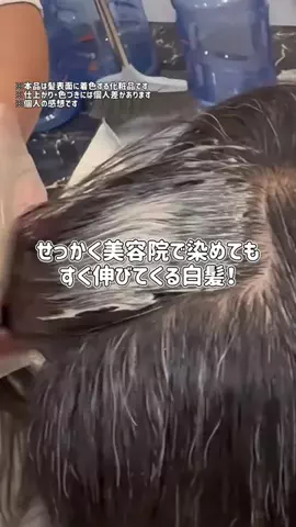 ぽむのTikTok投稿