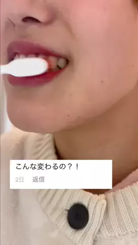 ぽむのTikTok投稿
