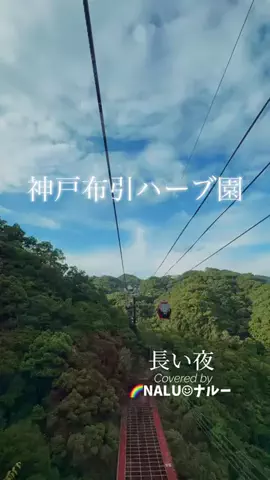 🌈NALU☺︎ナルーのTikTok投稿