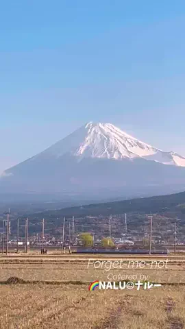 🌈NALU☺︎ナルーのTikTok投稿