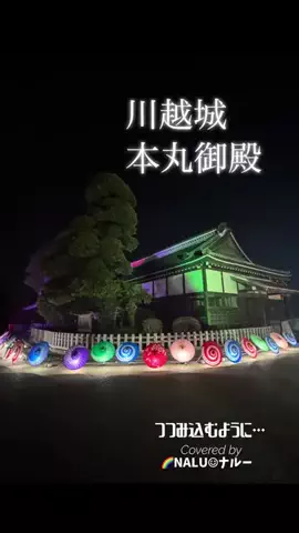 🌈NALU☺︎ナルーのTikTok投稿