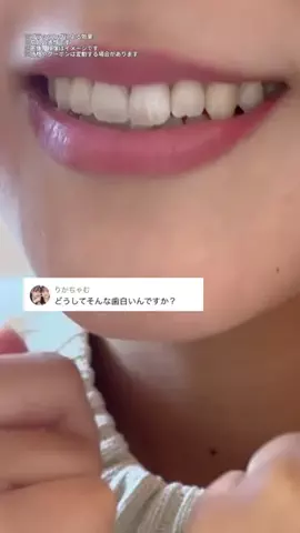 ぽむのTikTok投稿