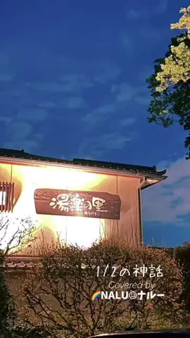 🌈NALU☺︎ナルーのTikTok投稿