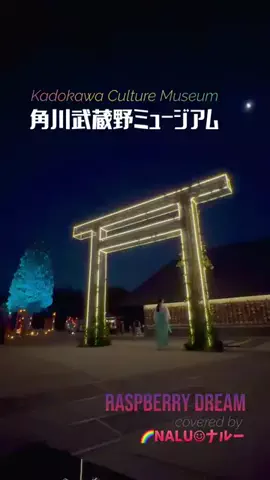 🌈NALU☺︎ナルーのTikTok投稿