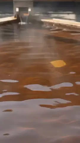 カズのTikTok投稿
