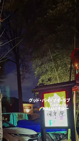 🌈NALU☺︎ナルーのTikTok投稿