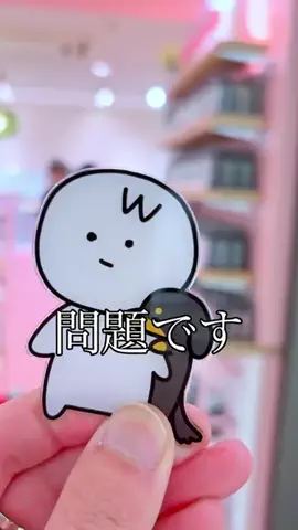 わん🐶のTikTok投稿