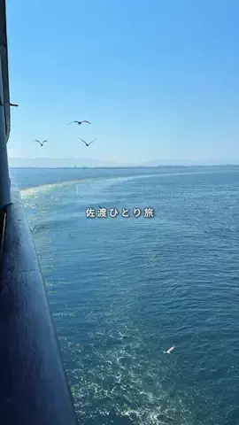 mii_solotravelのTikTok投稿