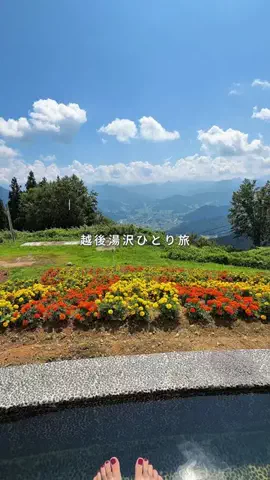 mii_solotravelのTikTok投稿