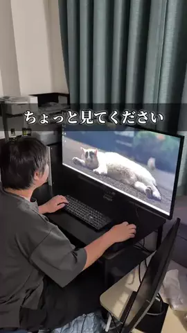 RKPhoto_9/ｱｰﾙｹｰﾌｫﾄﾅｲﾝ📷のTikTok投稿