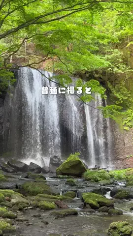 RKPhoto_9/ｱｰﾙｹｰﾌｫﾄﾅｲﾝ📷のTikTok投稿
