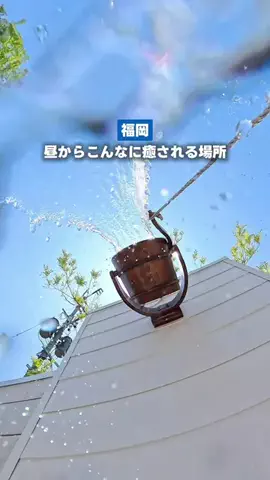 めぐみ🩵福岡熊本 子連れおでかけ・旅のTikTok投稿