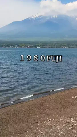 Og ToのTikTok投稿