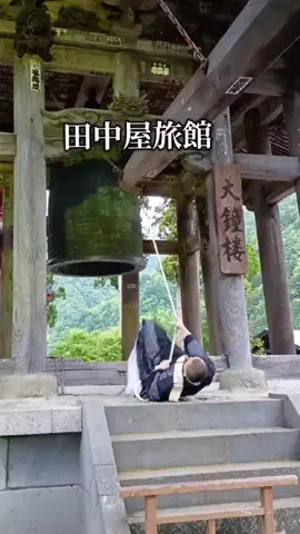 Og ToのTikTok投稿