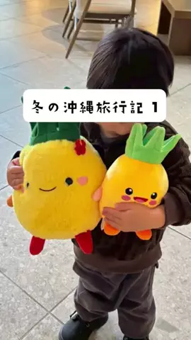 おてぷ | 栄養士の再現レシピ🍬のTikTok投稿