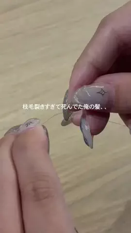 きゃんちーのTikTok投稿