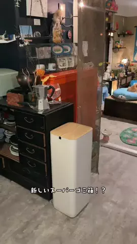 肉太郎🥬🍖🥬🐈🐈‍⬛moipi's roomのTikTok投稿