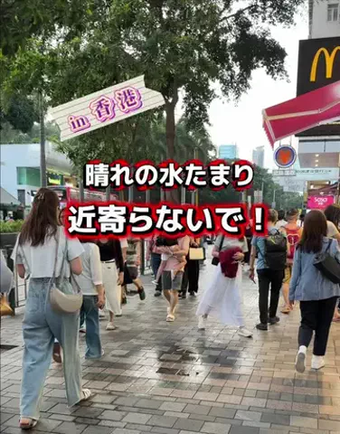 くろねこしろねこ😸海外旅行🌏のTikTok投稿